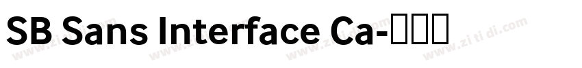 SB Sans Interface Ca字体转换 SB Sans Interface Ca字体转换